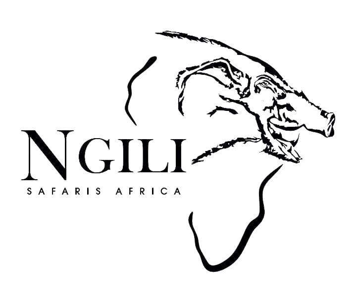 Ngili Safaris